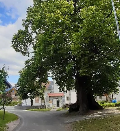 Apartmaji Mojca Летний дом