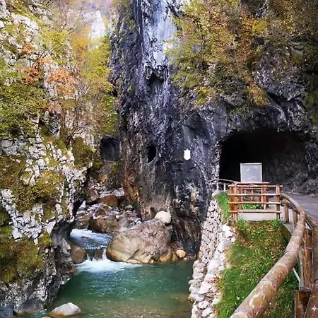 Country house Apartmaji Mojca