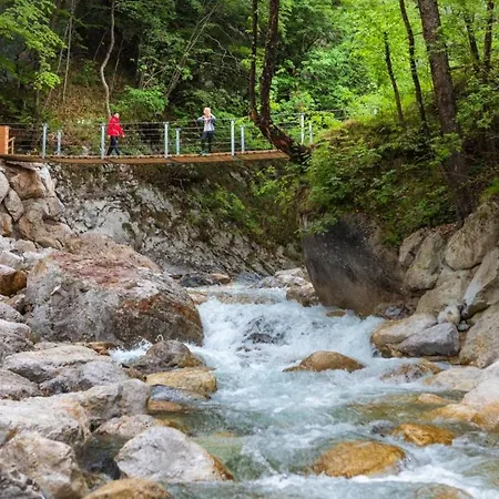 Летний дом Apartmaji Mojca Криже