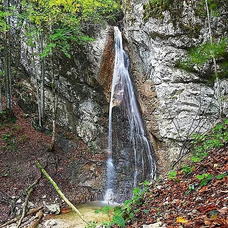 Venkovský dům Apartmaji Mojca