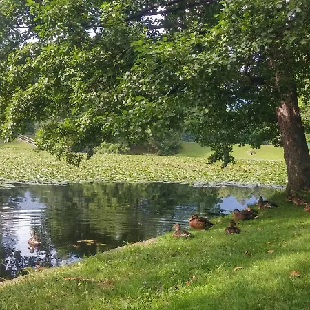 Летний дом Apartmaji Mojca Криже