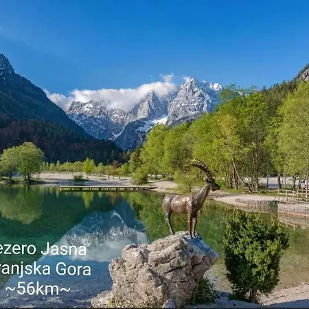 Летний дом Apartmaji Mojca