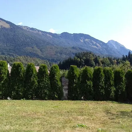 Country house Apartmaji Mojca Krize