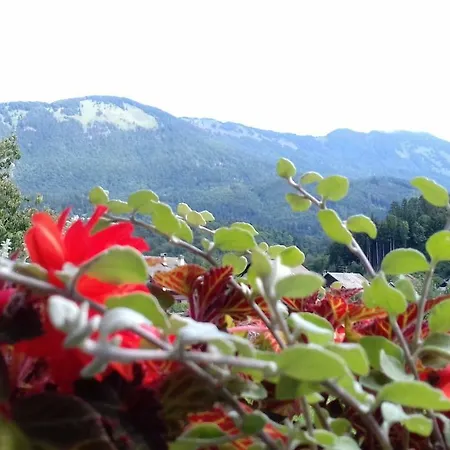Apartmaji Mojca Country house Krize