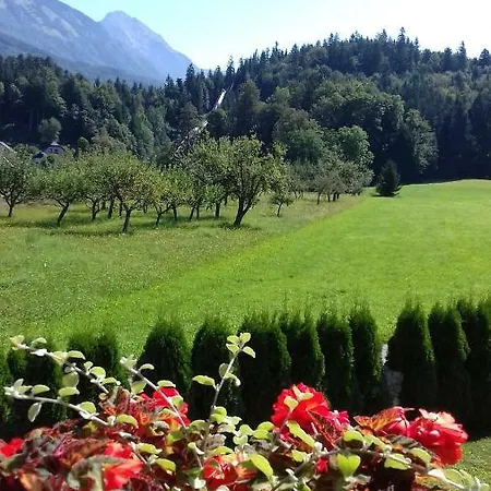 Apartmaji Mojca * Krize