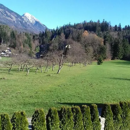 Landhaus Apartmaji Mojca *