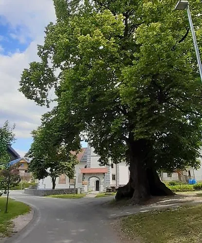 Apartmaji Mojca בית כפרי