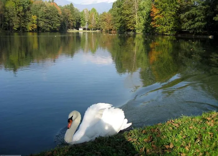 Apartmaji Mojca * Križe