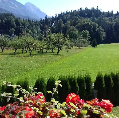 Apartmaji Mojca * Križe